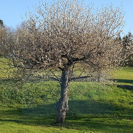 Gite Bard Des Ours Saint-Martin-en-Vercors Ngoại thất bức ảnh